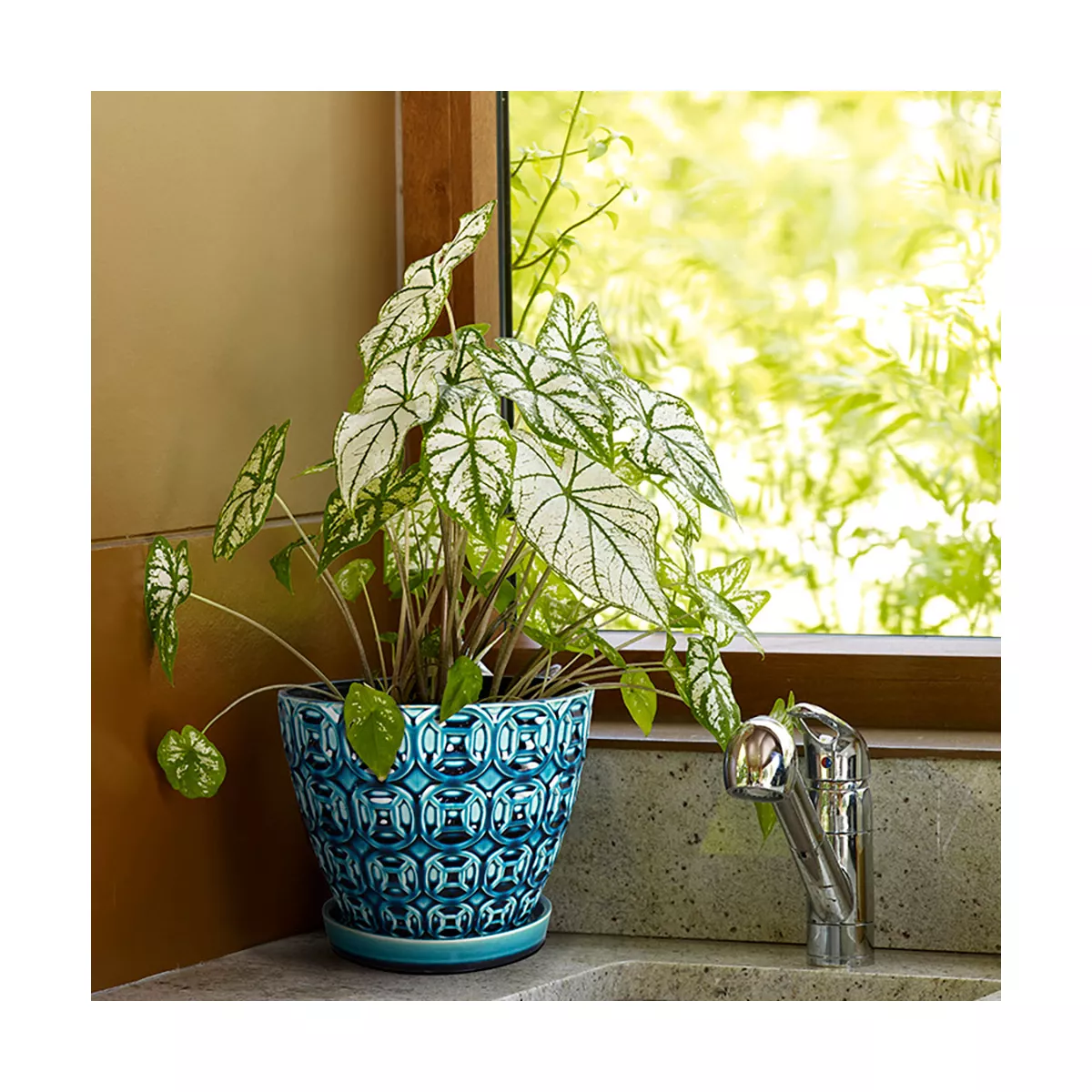 Southern Patio 12 Inch Ceramic Clay Mayer Flower Planter & Saucer Tray, Seafoam