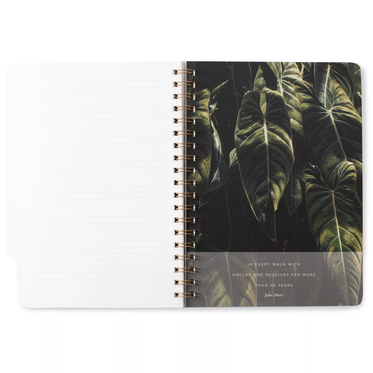 180 sheet College Ruled 5 Subject Spiral Notebook Large Tab Stay Curious - Fringe