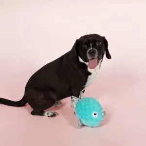 PetShop by Fringe Studio Puffed Up Puffer Fish Dog Toy