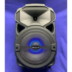 Studio Z STZP-800 8-Inch Rechargeable Speaker Woofer with USB Music Stream (2 Pack)