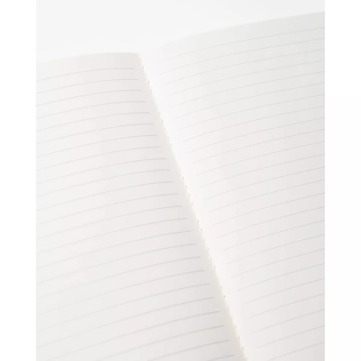 Sonix Notebook Bundle Ruled Your Future is Bright