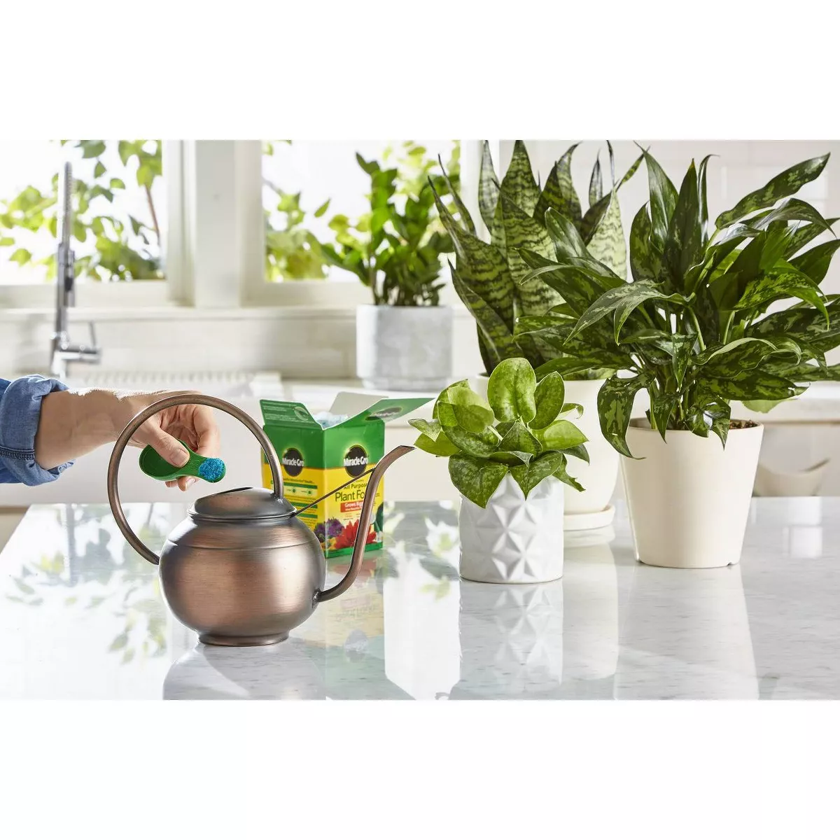 Miracle-Gro Water Soluble All Purpose Plant Food 1.5lb