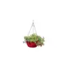 Viva Self-Watering Hanging Basket, 14 Inch - Gardener's Supply Company