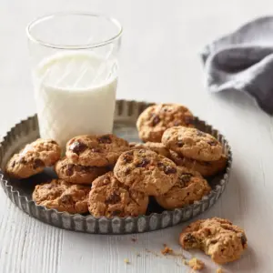 Munchkin Milkmakers Lactation Cookie Bites - Oatmeal Chocolate Chip - 2oz