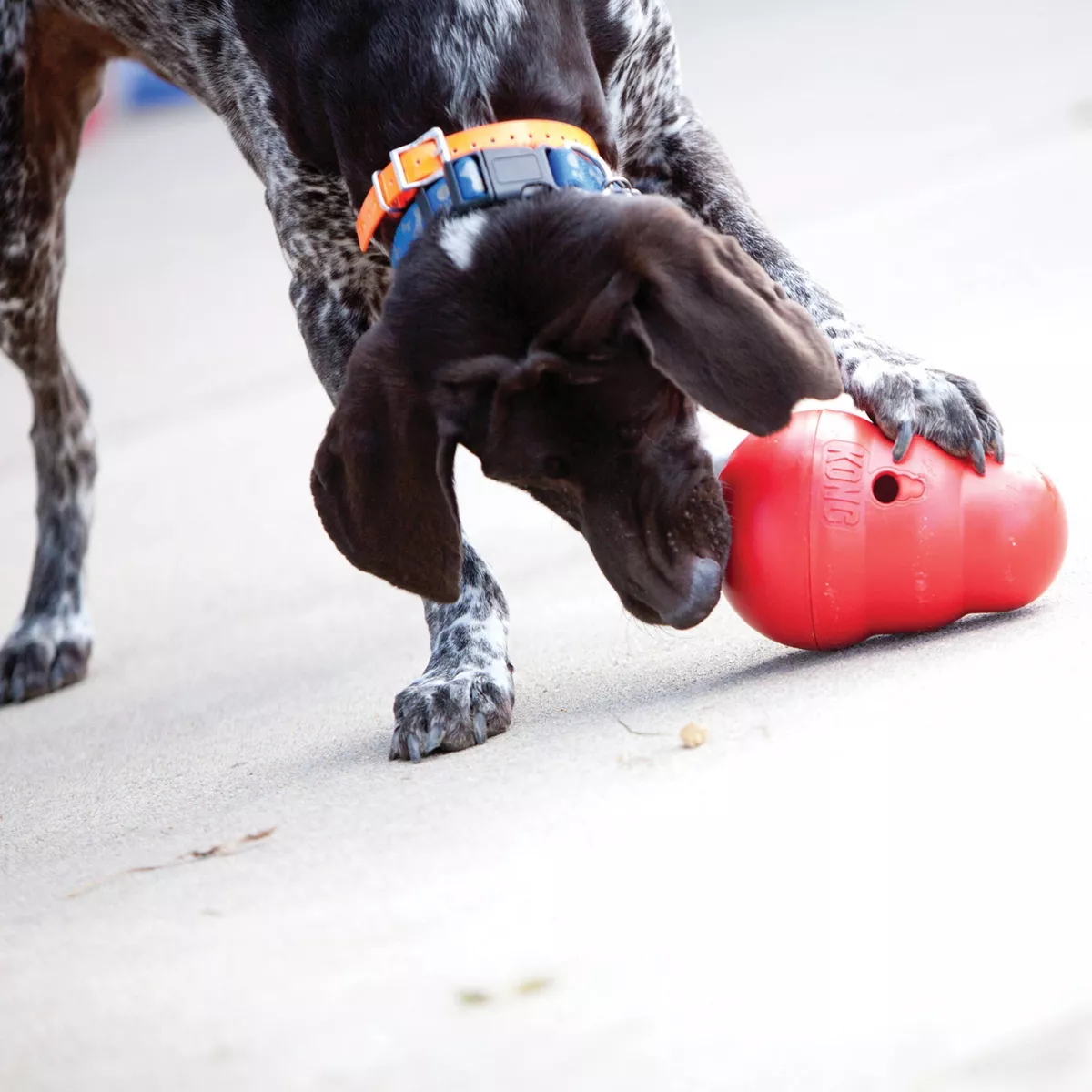 KONG Wobbler Treat Dispenser Dog Toy - L