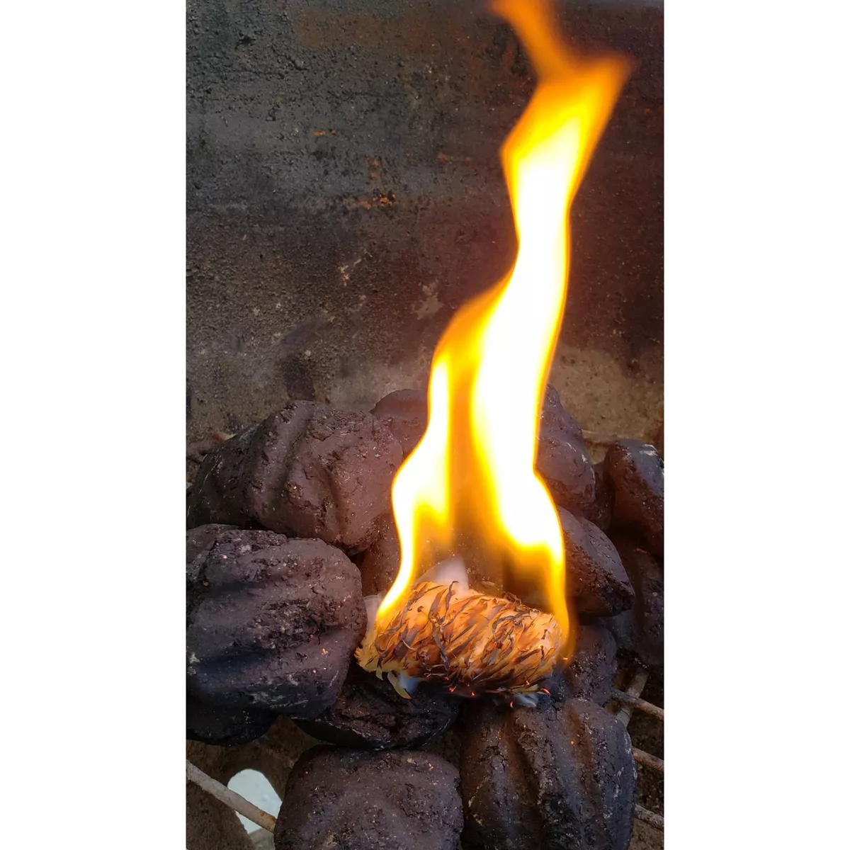 BBQ Dragon 50ct Dragon Eggs Fire Starters