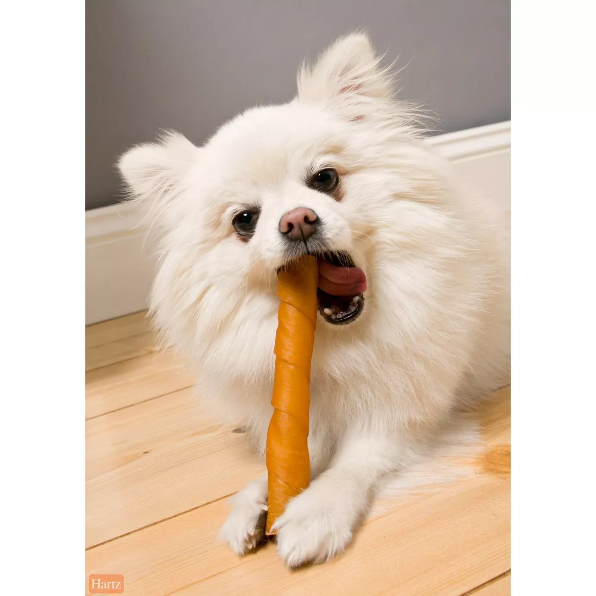 Hartz Oinkies Pig Skin Twist Jerky Chews Dog Treats - 20ct