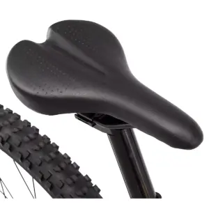 Schwinn Men's Ascension 29