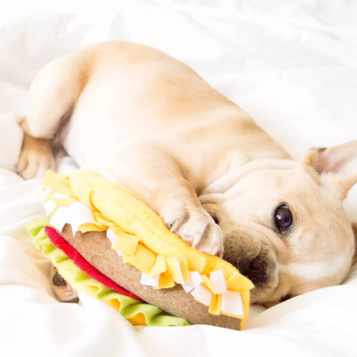 ZippyPaws NomNomz Taco Dog Toy