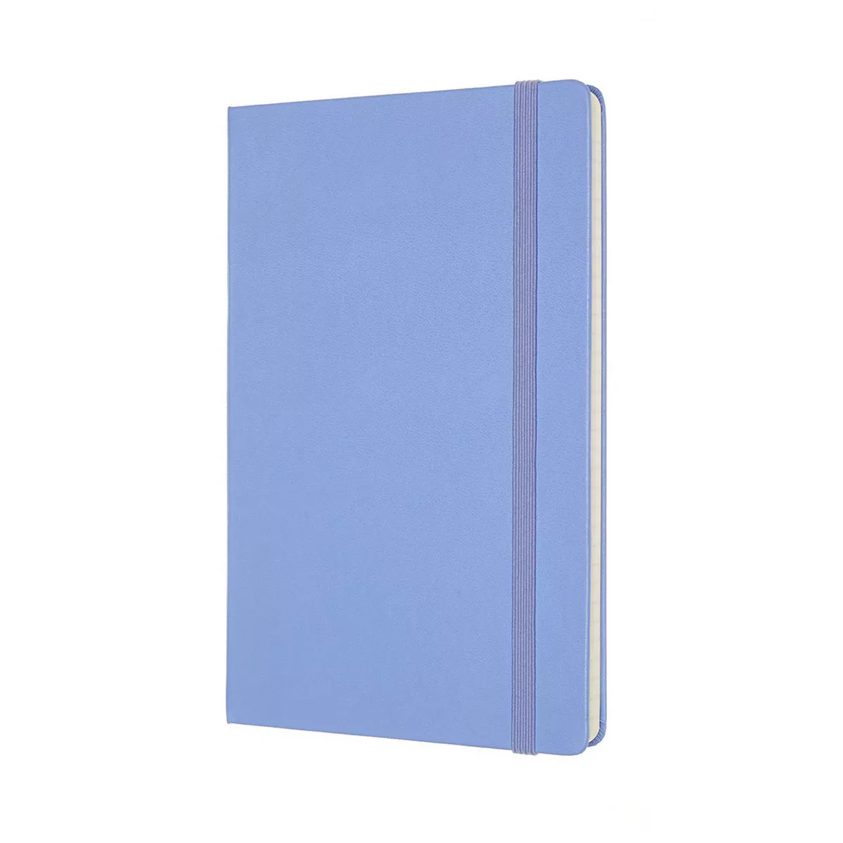 Moleskine Narrow Rule Notebook Hard Cover 8.25