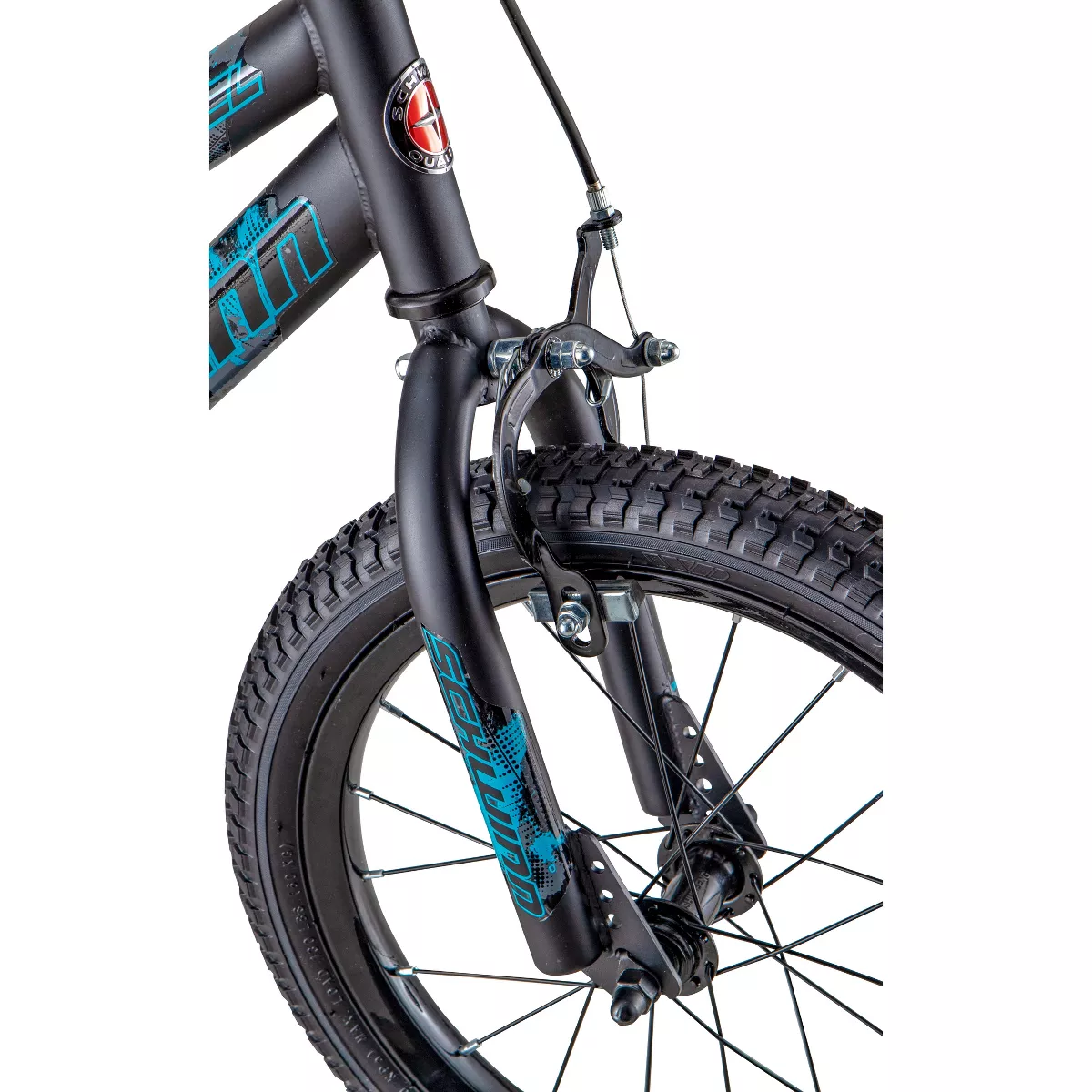 Schwinn Flywheel 16