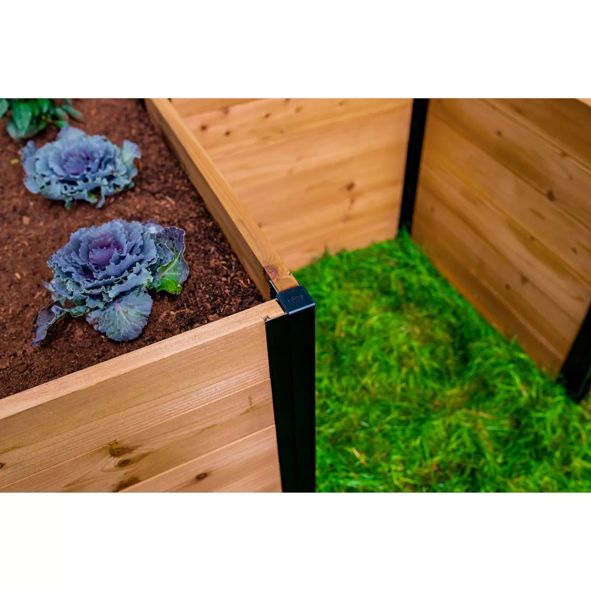 6'x6' Keyhole Garden Square Planter - Vita