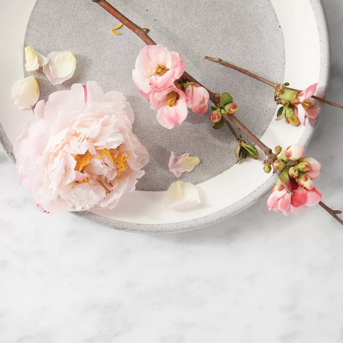 6pc Peony and Cherry Blossom Melts - Threshold™