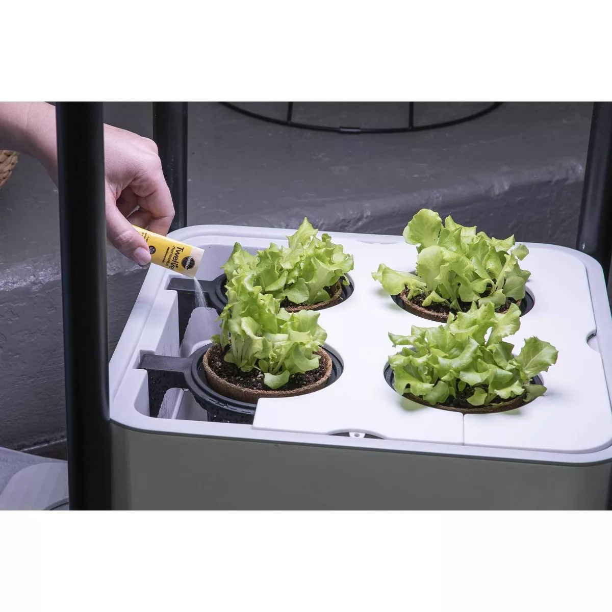 Miracle-Gro Twelve Plant Nutrition