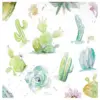4pk Ceramic Watercolor Cacti and Succulent Print Coasters - Thirstystone