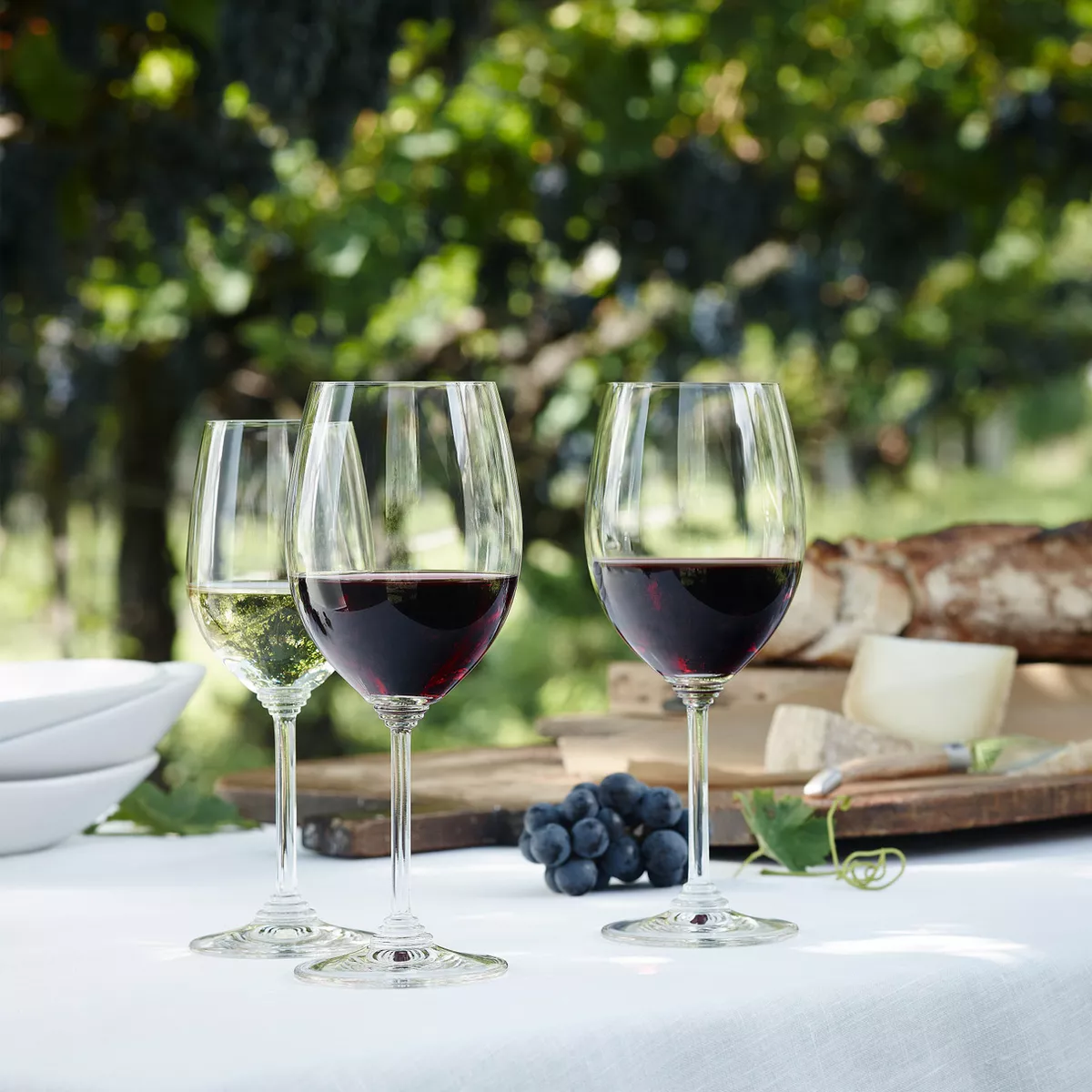 Riedel 6448/15-R Crystal Dishwasher Safe Riesling/Zinfandel Red/White White Glass (2 Pack)