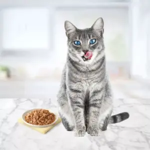Blue Buffalo Tastefuls Flaked Tuna Chicken & Shrimp Entrees In Gravy Premium Wet Cat Food - 5.5oz/12ct