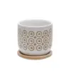 5" Ceramic Swirly Planter with Saucer Beige - Sagebrook Home