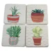 Tabletop 3.75" Cactus Coaster 4 Pc Set Plants Square Cork Back Neutral Ganz - Coasters
