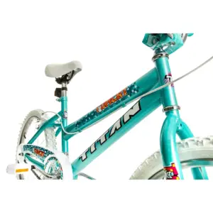 Titan Tomcat BMX 20