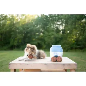 ZippyPaws Burrow Milk and Cookies Dog Toy - M