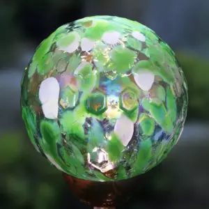 31