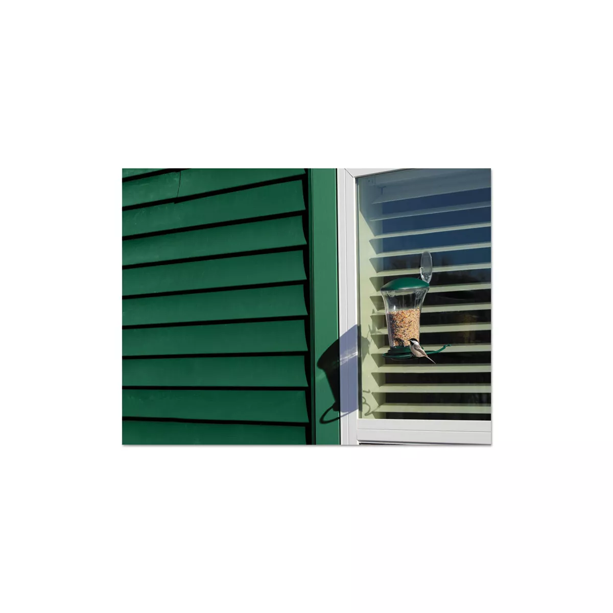 Command All Weather Hooks and Strips Plastic Large 1 Hooks & 2 Strips/Pack 17093CLRAW