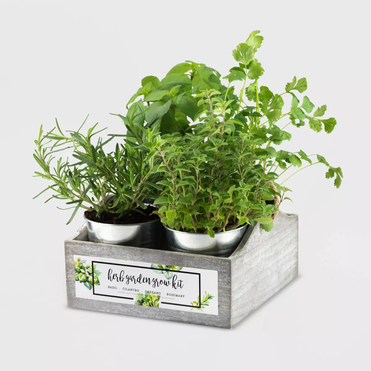 4 Organic Herb Garden Grow Kit - Buzzy Seeds