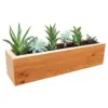 Succulent Planter Rectangular Western Clear Oil Finish - Red Cedar - Gronomics