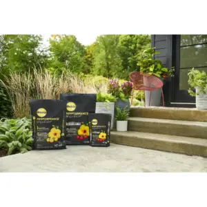 Miracle-Gro Potting Soil - 6qt