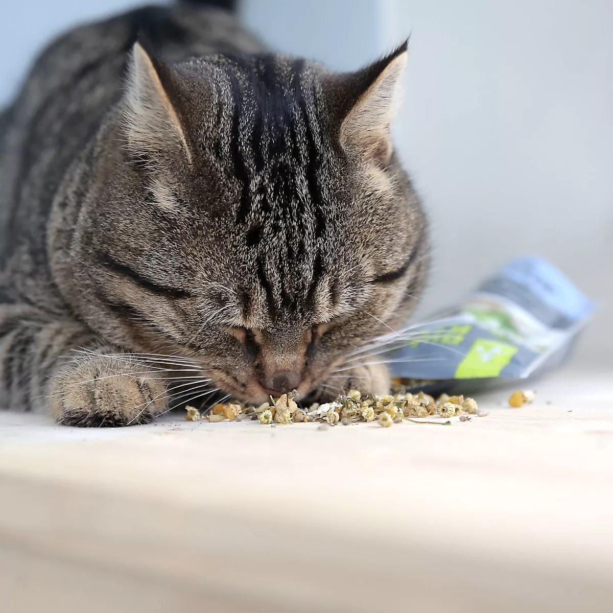 Quirky Kitty Kitty Chill North American Catnip with Chamomile Blend Cat Treats - 0.5oz