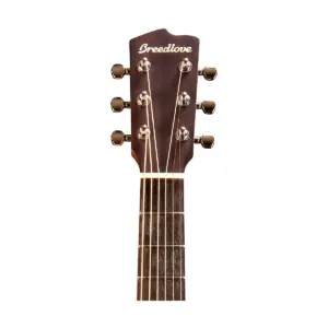 Breedlove Pursuit PSCA01ERCMA Concertina Acoustic-Electric Guitar Gloss Natural