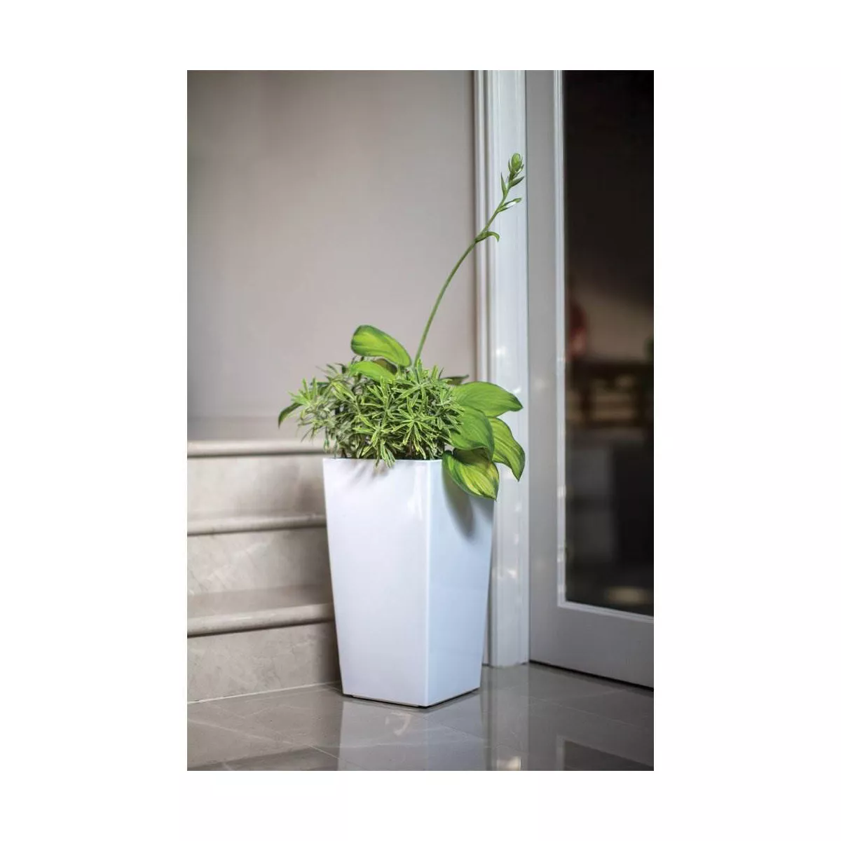 Algreen Modena Square Self-Watering Planter With Water Level Guide, Glossy White