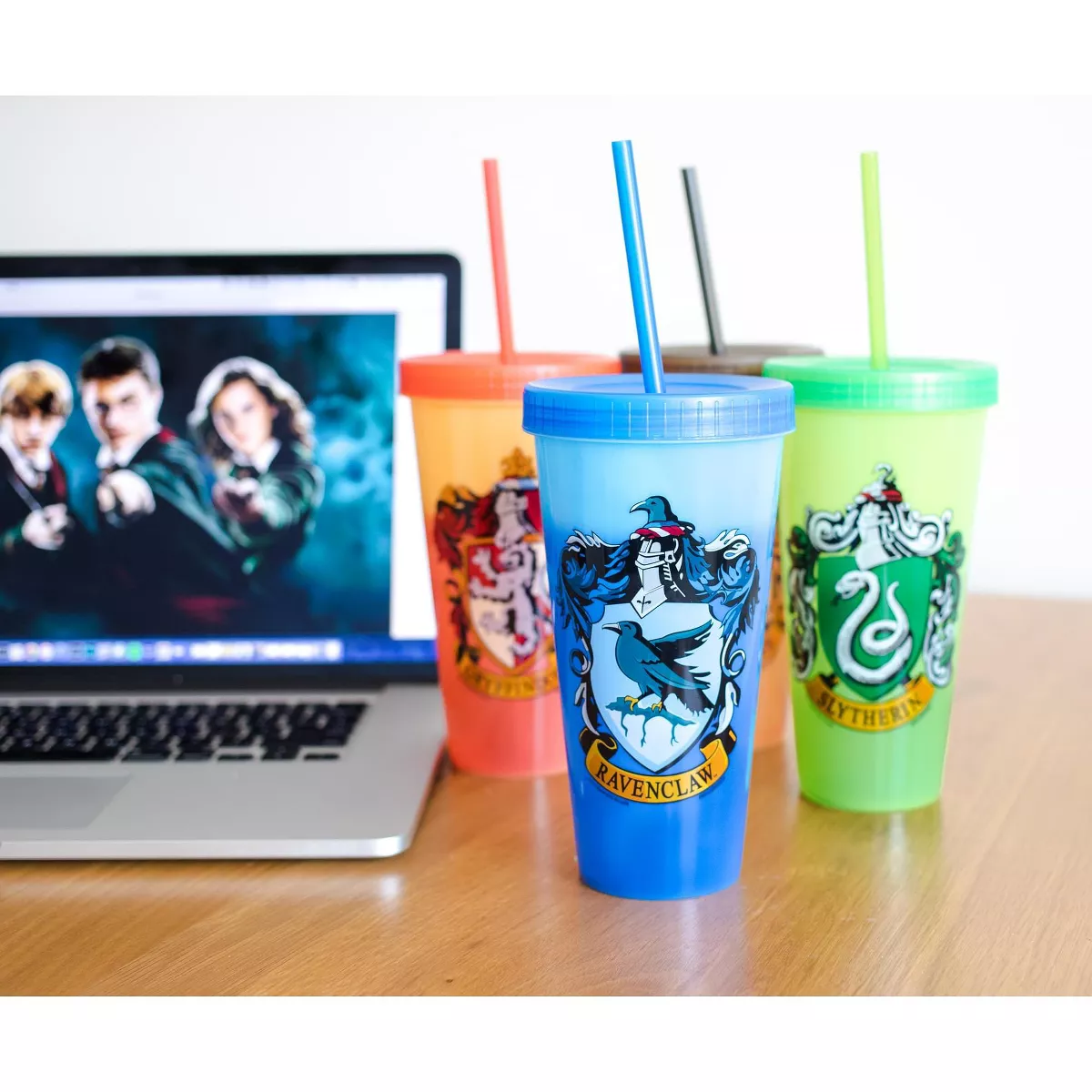 Silver Buffalo Harry Potter Hogwarts Houses Color-Changing Plastic Tumblers | Set Of 4
