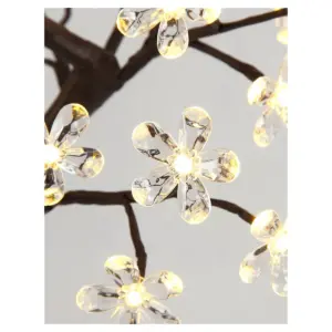 Lightshare 18