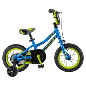 Schwinn Valve 12