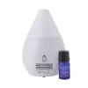 Mini Scentifier Fan Diffuser White plus 5ml Orange Essential Oil Kit - SpaRoom