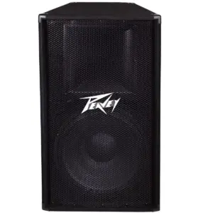 Peavey PV 115 15