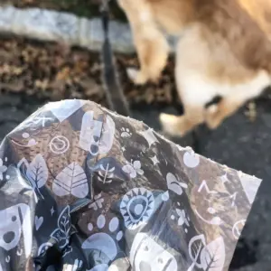 PL360 Dog Waste Bags - 540ct
