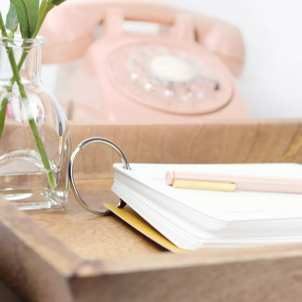 The Gratitude Journal