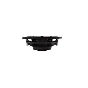 Rockford Fosgate R2SD210 10