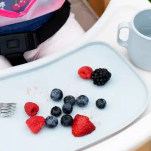 green sprouts Baby Mealtime Set Easywear Bibs Mini Platemat Gray/Aqua - 4pc