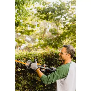 Worx WG284 24