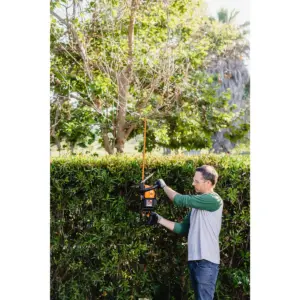 Worx WG284 24