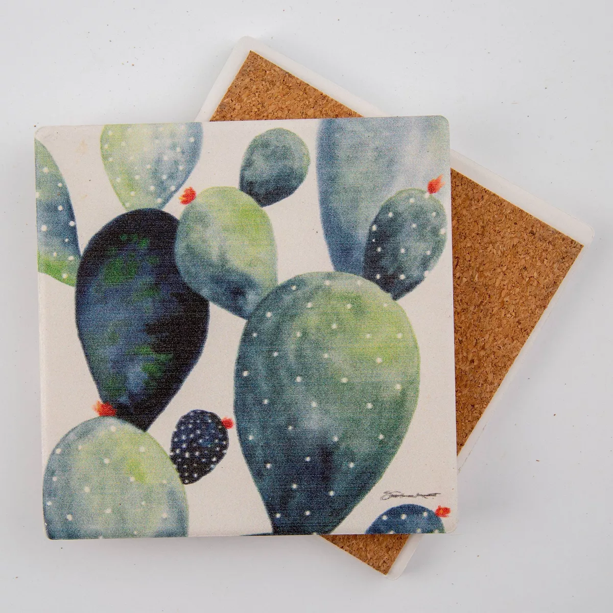 4pk Ceramic Watercolor Cactus Print Coasters - Thirstystone