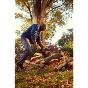 Worx WG384 14