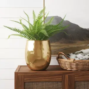9.6