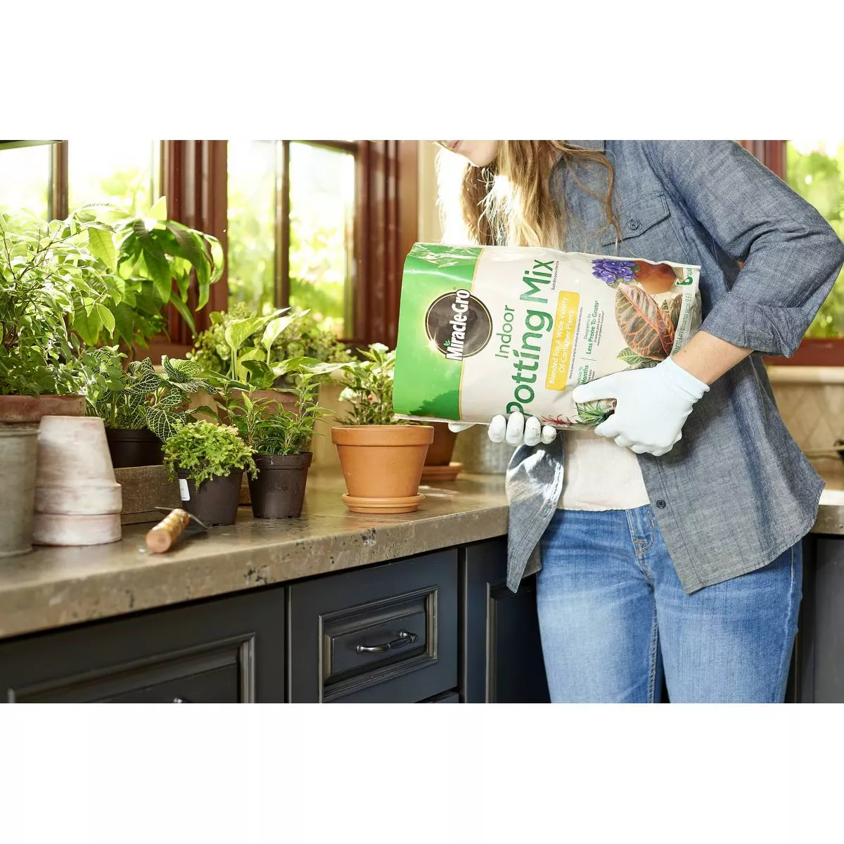 Miracle-Gro Indoor Plant Food and Potting Mix