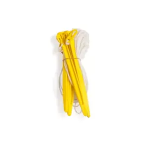 Champion Sports Deluxe Volleyball Set