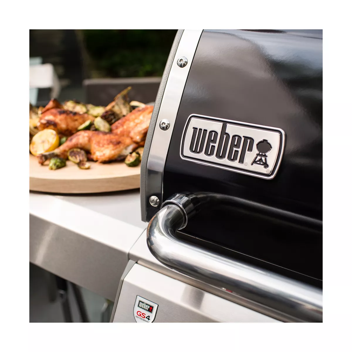 Weber Genesis II E-310 NG 66011001 Black